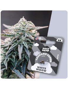 Holy Hemp Holy Hemp Cannabis Samen - White Widow (3 Stück) - Made in USA