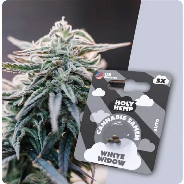 Holy Hemp Holy Hemp Cannabis Samen - White Widow (3 Stück) - Made in USA