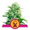 Royal Queen Royal Queen Cannabis Samen - Pink Runtz - Feminized - (3 Stück) - Made in USA