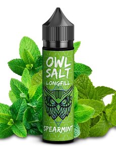 OWL OWL Salt - Spearmint - 10 ml Aroma - Longfill - Mit Steuerbanderole