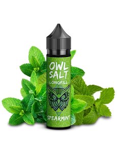 OWL OWL Salt - Spearmint - 10 ml Aroma - Longfill - Mit Steuerbanderole
