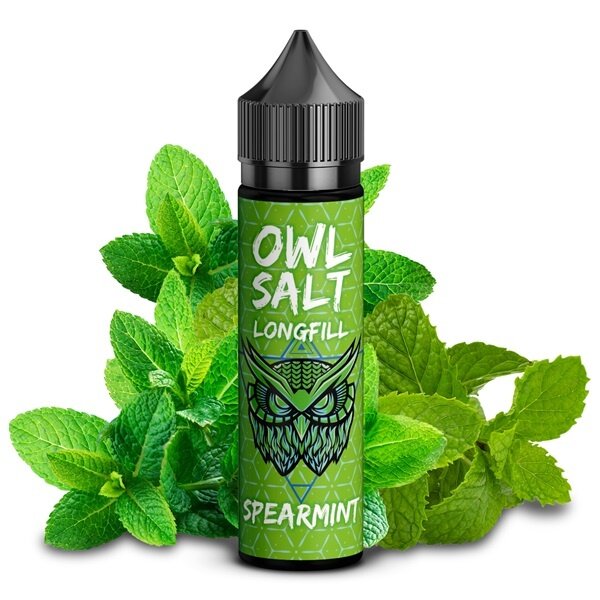 OWL OWL Salt - Spearmint - 10 ml Aroma - Longfill - Mit Steuerbanderole