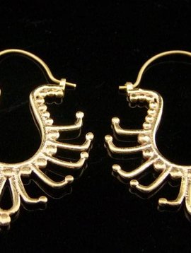 Brass Earrings