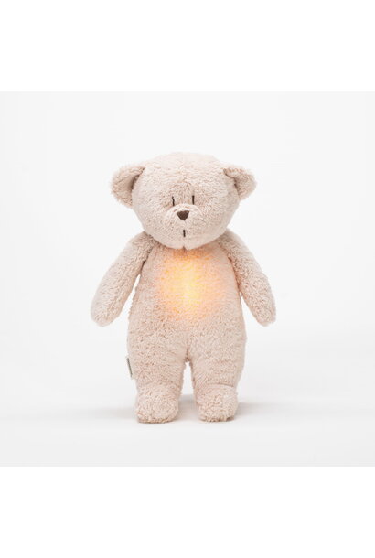 Cuddle bear with light and sound