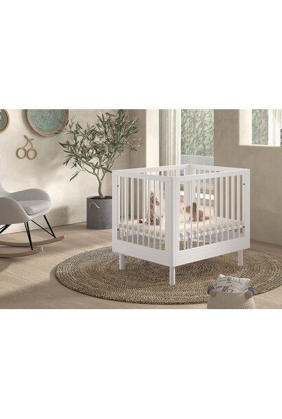 Parc Forrest Collection