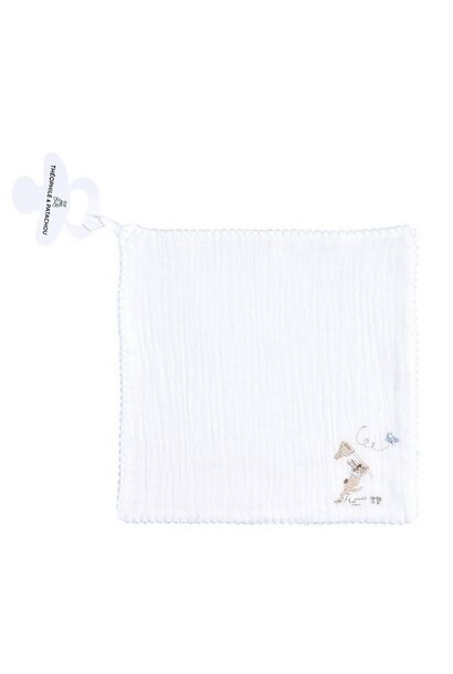 Pacifier cloth