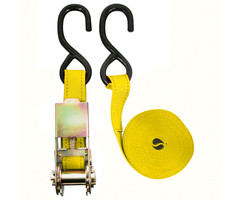 Carpoint Spanband met Ratel en Haken 5 Meter
