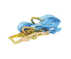Carpoint Spanband met Ratel en Haken 5 Meter