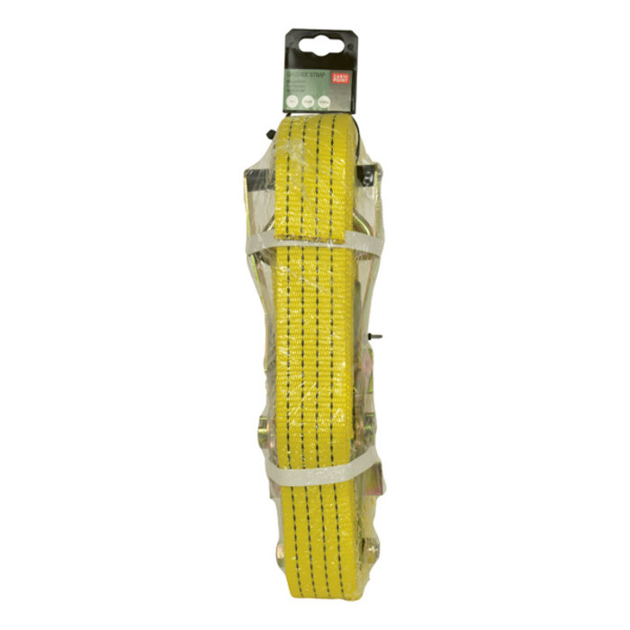 Carpoint spandband met ratel-haken 50mm x 9m