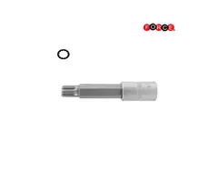 Veeltand bit doppen 1/2" M10 | 34810010