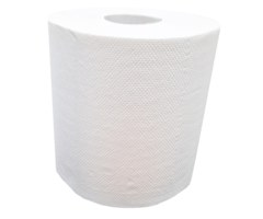 Holland Papier Groep 264 X Handdoekrol Midi Centerfeed 100% cellulose 2 laags geperforeerd - 19 cm c 160 m