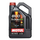 5W30 8100 X-Clean EFE Premium Synthetic | 5 liter | 109471