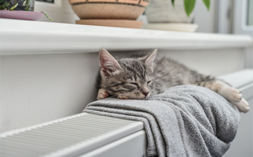 Bereken zelf de benodigde capaciteit van uw radiator