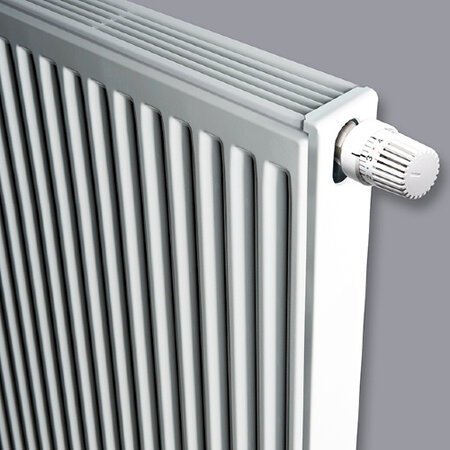 Brugman Centric 300 hoog x 500 breed - type 21