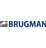 Brugman Uni 6 radiator 900 hoog x 600 breed - type 33