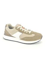 Skechers 11683 taupe