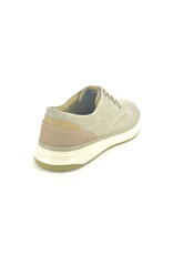 Skechers 11685 taupe