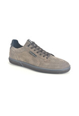 Floris van Bommel 12722 taupe