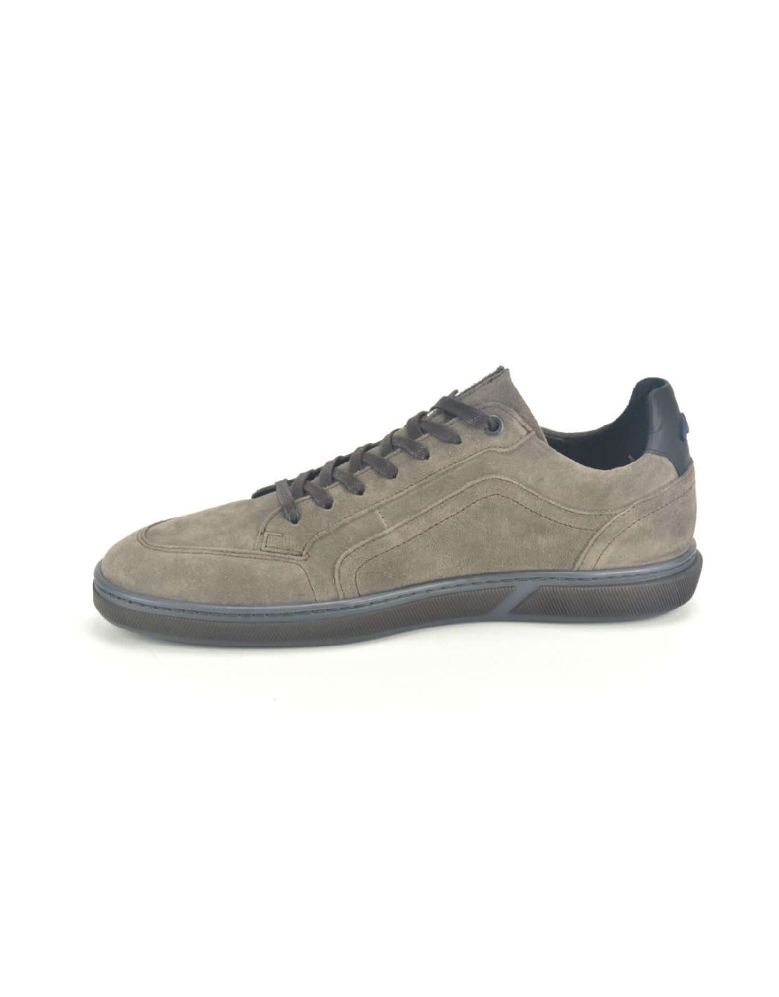 Floris van Bommel 12722 taupe