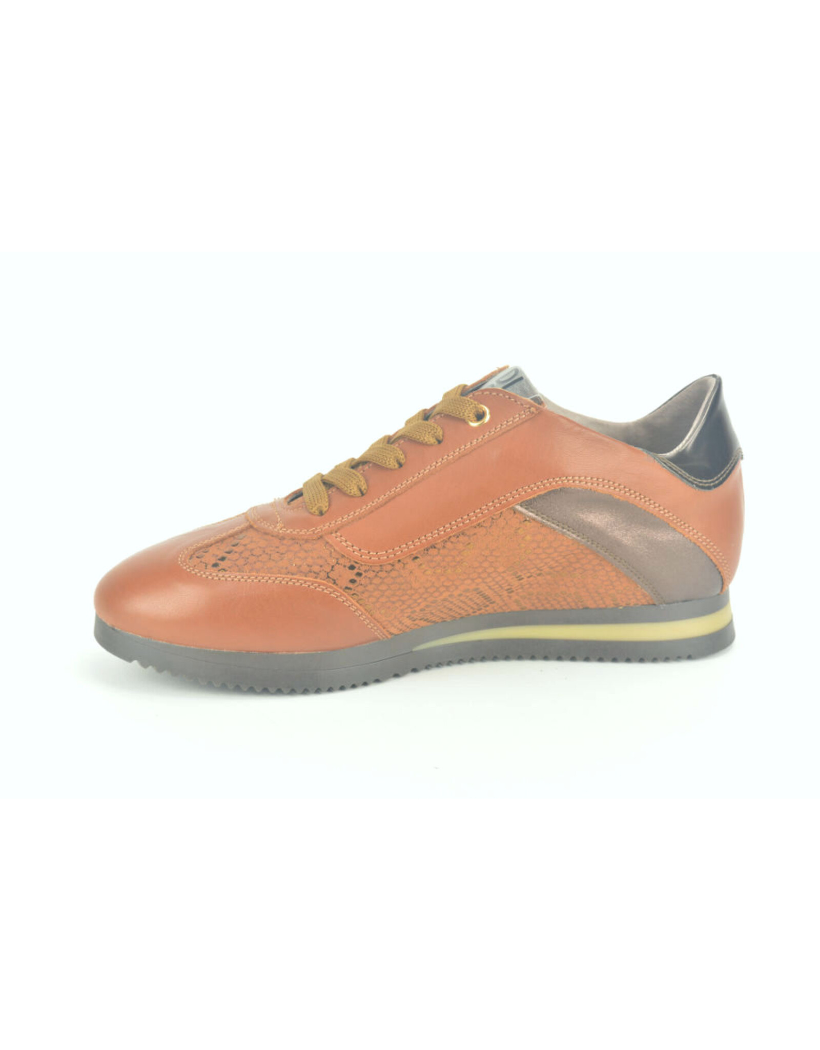 DL-Sport 12777 cognac bruin