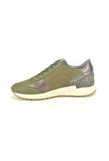 DL-Sport 12782 taupe