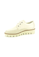 DL-Sport 13484 beige