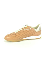 DL-Sport 13487 cognac bruin