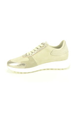 DL-Sport 13494 beige