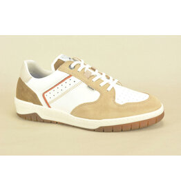 Fluchos Sneaker Fluchos