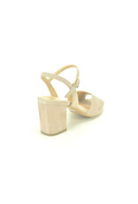 Altramarea 13319 beige