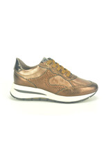 DL-Sport 14148 brons