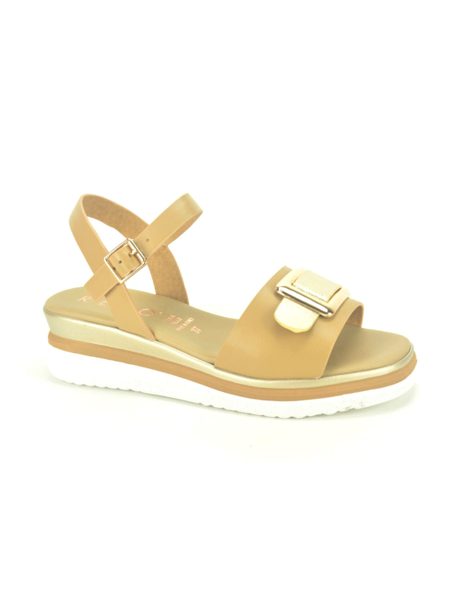 REPO 14462 camel