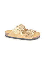 Scholl 14491 goud