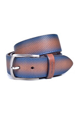 Miguel Bellido 10996 bruin