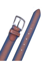 Miguel Bellido 10996 bruin