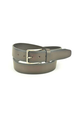 Miguel Bellido 15409 bruin