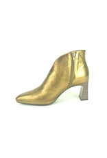 Hispanitas 14112 brons