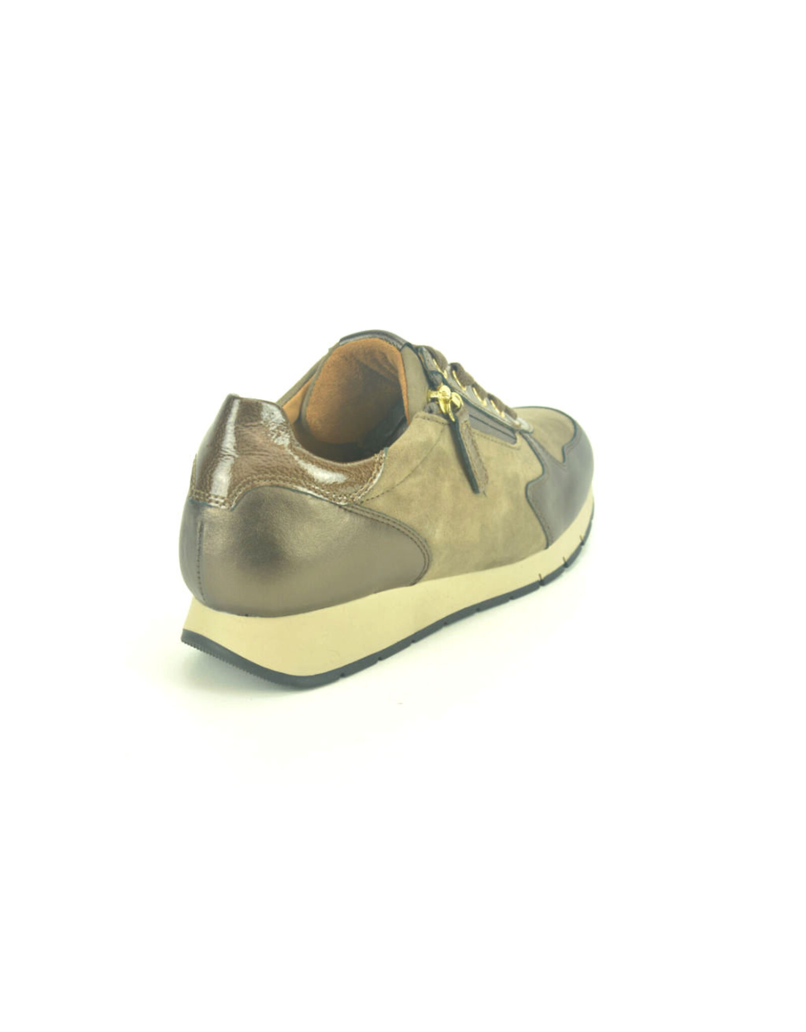Gabor 13864 brons