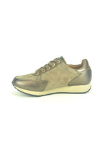 Gabor 13864 brons