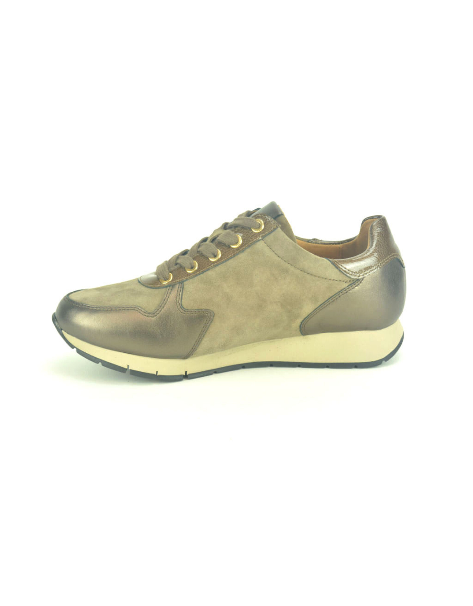 Gabor 13864 brons