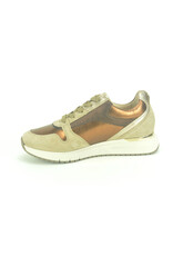 Gabor 13865 beige