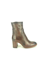 MJUS 13898 bruin