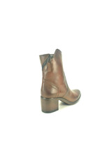 MJUS 13899 bruin