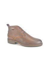 Australian 13905 bruin
