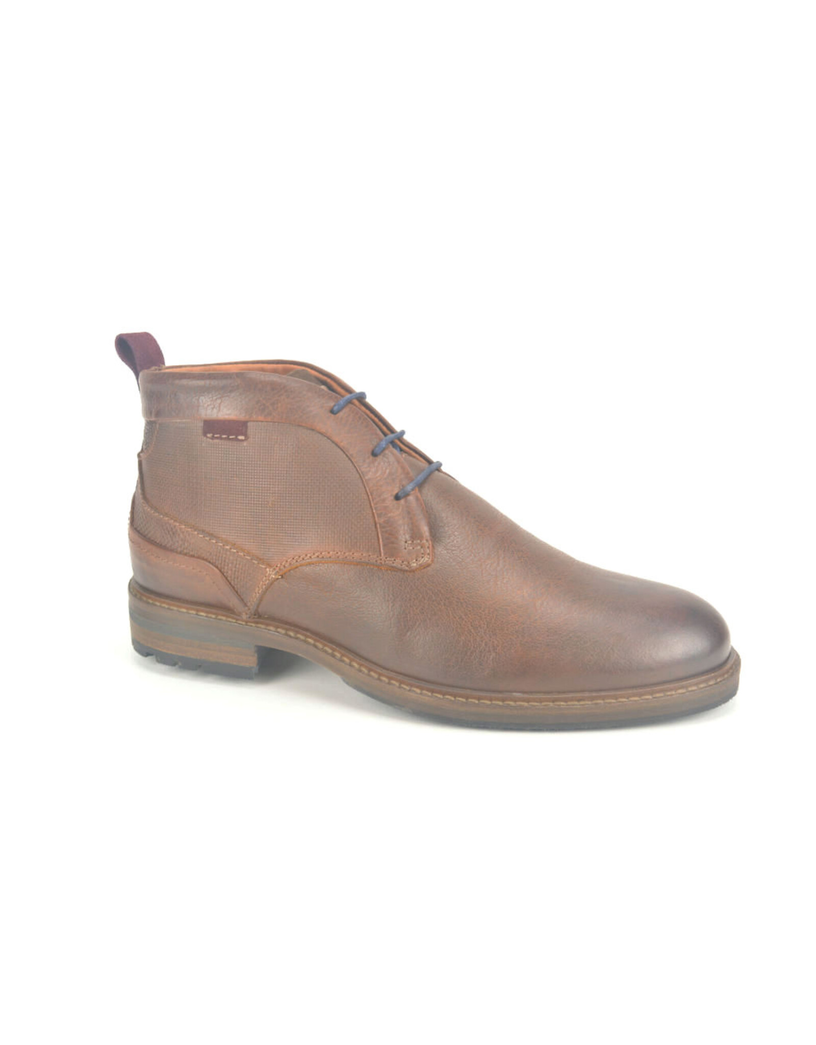 Australian 13905 bruin