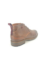 Australian 13905 bruin