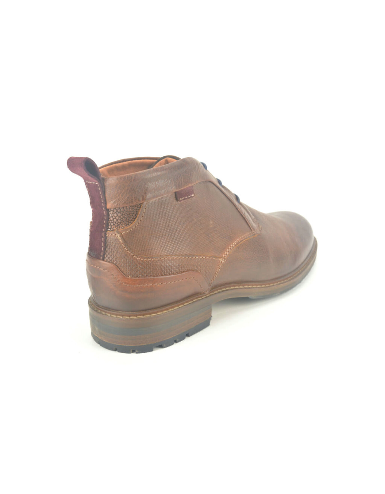 Australian 13905 bruin