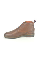 Australian 13905 bruin