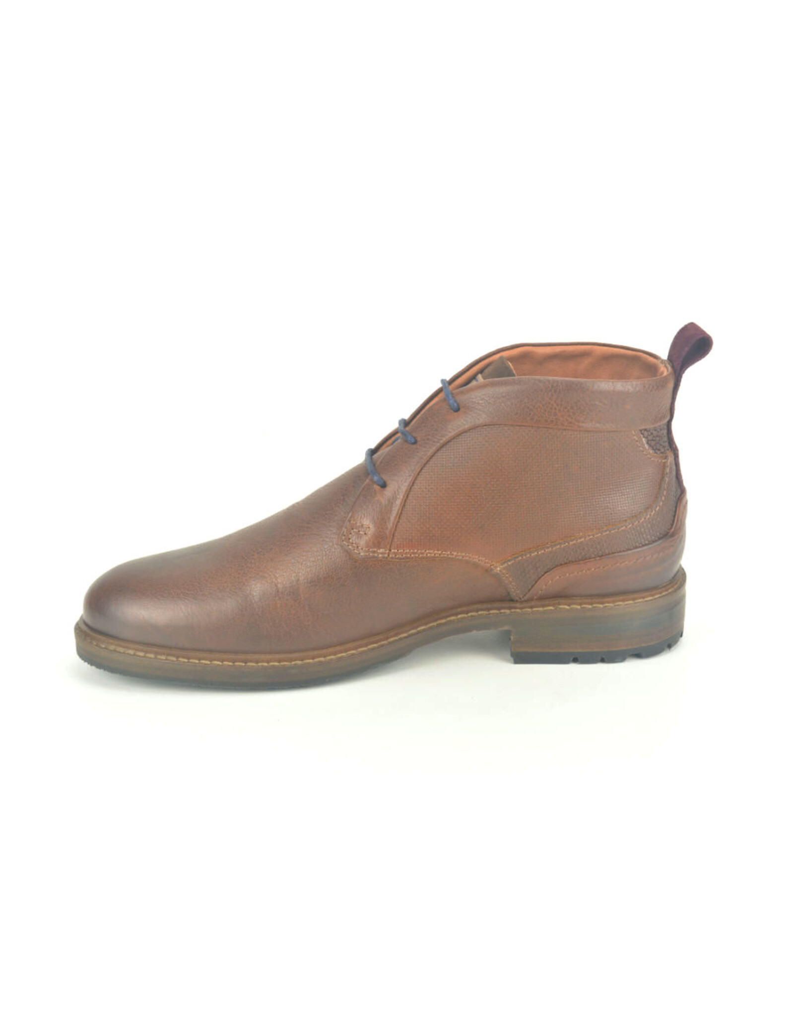 Australian 13905 bruin