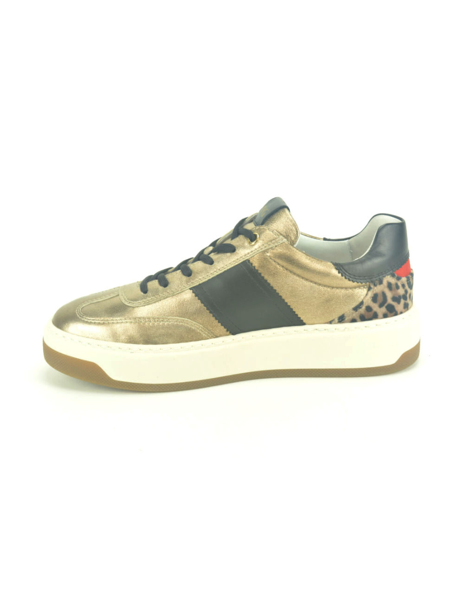Nero Giardini 13960 goud